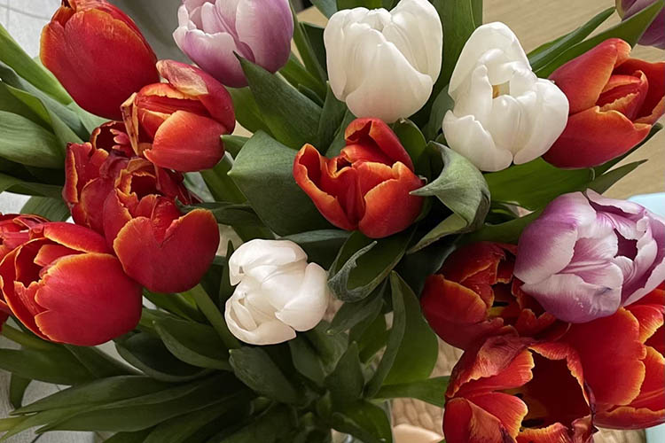 8 Марта 2_750.jpg